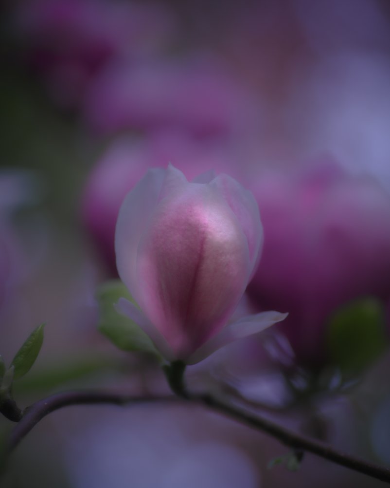 Andlig rådgivning - Via kanalisering