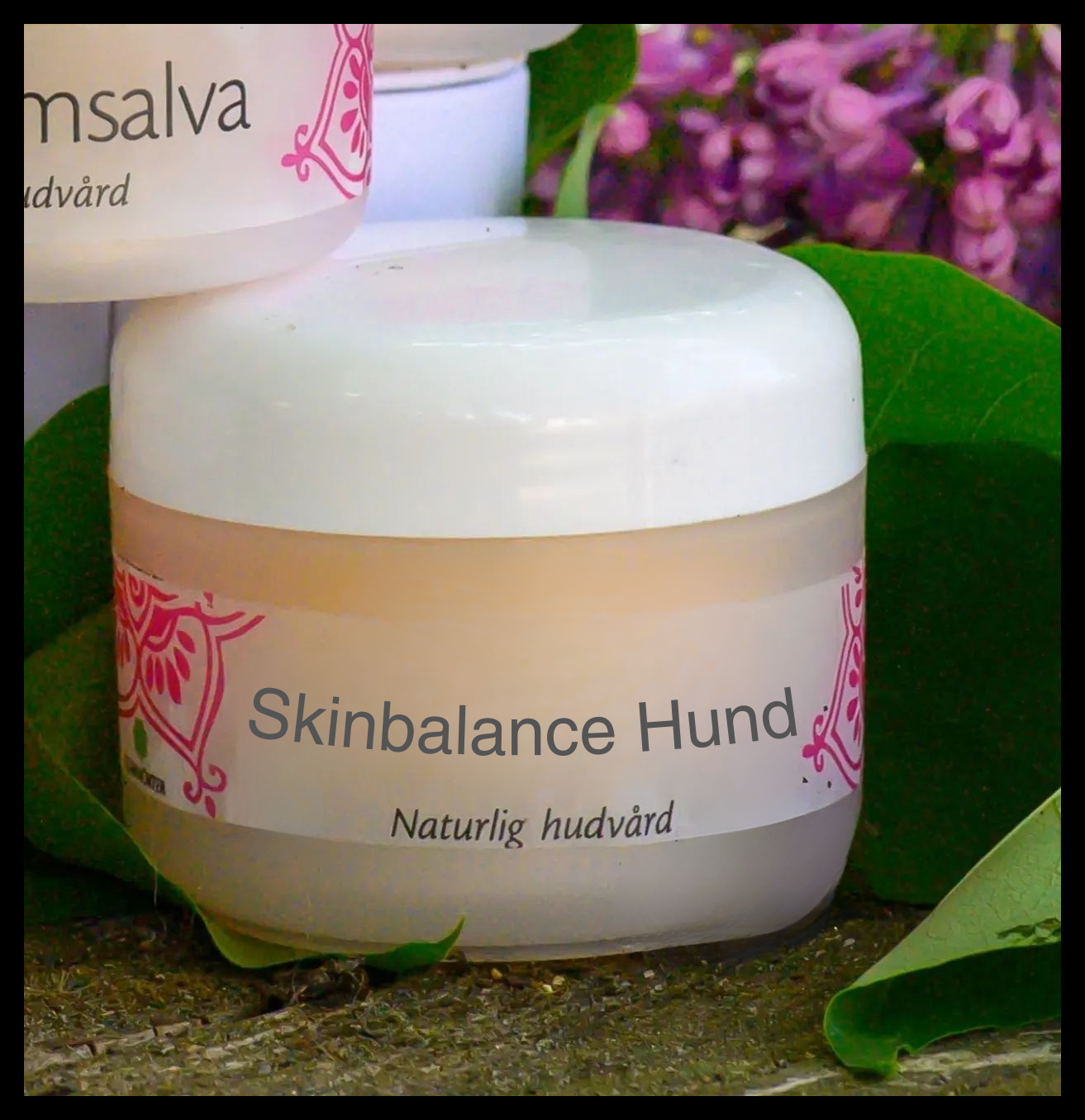 Skinbalance hund